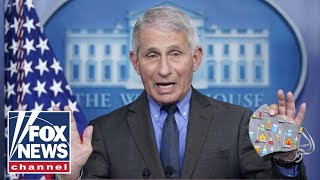 Sen. Cruz: Fauci has become a 'Saturday Night Live caricature'
