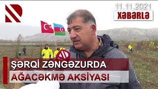 Şərqi Zəngəzurda ağacəkmə aksiyası