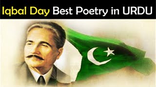 Iqbal Day Poetry For Speech in Urdu | 9 November Iqbal Day Poetry in Urdu | Iqbal Day Shayari