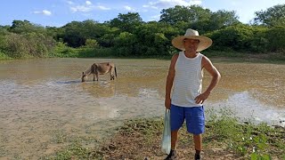 Como está o açude do forno velho.