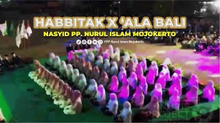 HABBITAK X 'ALA BALI | NASYID PP. NURUL ISLAM MOJOKERTO