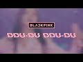 〔 concert effect fanchant 〕blackpink ddu du ddu du