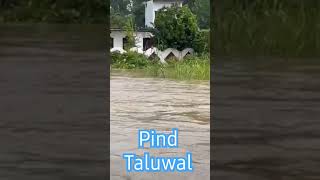 Mukerian pind Taluwal Pani Pani Ho Geya #trending #shorts #viral #flood