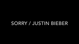 Sorry /Justin Bieber / Lyrics