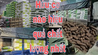 Hửu cơ nào tốt nhất cho cây sầu riêng xanh cây bóng lá đi đọt mạnh nhanh lớn mập thân cành