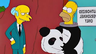 HOMERO ES UN PANDA - LOS SIMPSONS CAPITULOS COMPLETOS EN ESPAÑOL LATINO