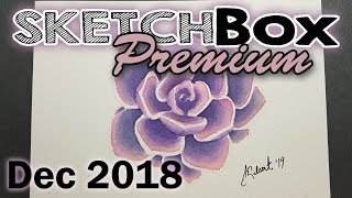 December Premium SketchBox Unboxing Daniel Smith Watercolor Succulent