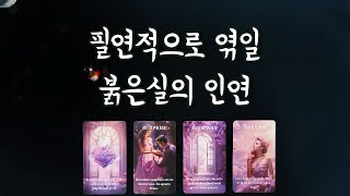 【타로연애운】 필연적으로 엮일 붉은실 인연(특징,속마음, 새로운 이성,관계흐름)love fortune tarot🧶