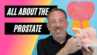 Prostate Health & Pleasure: Everything You Need to Know!