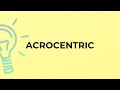 What is the meaning of the word ACROCENTRIC?