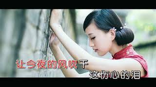 張可兒 - 落花淚（高清720P）KTV版