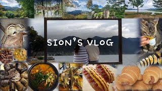 [SION's VLOG] 경기도 근교 당일치기 여행을 다녀왔어요! (양평,광주) #31 | 두물머리, 화담숲 수제순대 신주옥미 두물머리연핫도그 구포국수 커먼베이커리