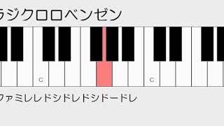 パラジクロロベンゼン　ドレミ鍵盤つき