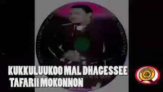 New oromoo music tafarii mokkonnan KUKKULLUU KOO