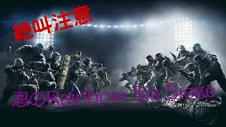 【FPS】初心者、忍の【レインボーシックスシージ】時々絶叫するため音量注意