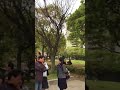 2017 4.9 天神中央公園 花見