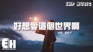 華晨宇 - 好想愛這個世界啊『曾想過離開 卻又堅持到現在，熬過了那些旁白 那些姿態 那些傷害。』【動態歌詞/Vietsub/Pinyin Lyrics】