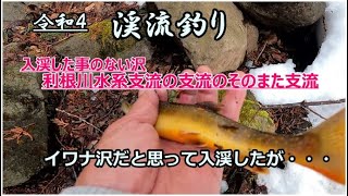 令和４ 渓流釣り  入渓した事のない沢  利根川支流の支流のそのまた支流