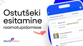 Ostutšeki esitamine raamatupidamisse I Raamatupidajale ja ettevõtjale