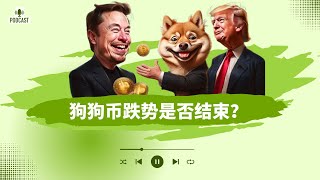 狗狗币回调是否结束？比特币领跌大部分币种！山寨币整体回落！