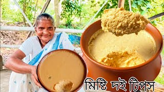 বাড়িতে পারফেক্ট মিষ্টি দই বানানোর সঠিক ও সহজ নিয়ম | misti doi recipe | bengali in misti doi