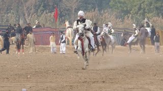 Nawab Malik Atta Faisalabad - International Tent Pegging - UAF