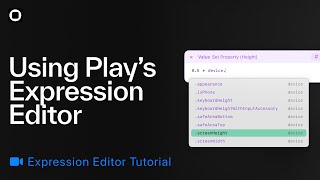 Overview of the Expression Editor in Play