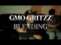 GMO gritzz - blending(official video)shot by ELiFilmedit #viral #fyp #music #musicvideo 