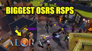 Alora RSPS: *500+ Online* How to get Started \u0026 Make Money on Biggest OSRS RSPS! +BIG G/A