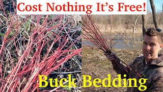 #1 Deer Browse and Screening-Planting Red Dogwood | Start to Finish |  Big Buck Habitat Improvement