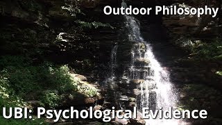 The Psychological Impact of UBI