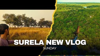 SURELA  VLOG. PART: 1( Amazing vibes to explore a village forest)🌾! \