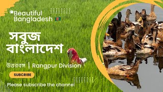 উত্তর বাংলার রূপ | Beautiful Bangladesh | ২৭ আশ্বিন ১৪৩১ | Rangpur Division