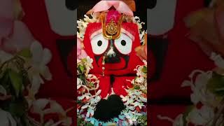 Niswa kara he mate biswa bihari//Jay Jagannath 🙏⭕❗⭕ #shorts #trending#plzsubscribe🙏🙏