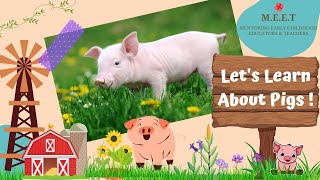 Let's Learn About Pigs! preschool learning videos for kids (pigs on farm, pig family)