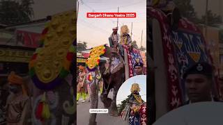 Bargarh Dhanu Yeatra 2025 #shortvideo #kansas #bargarhdhanuyatra