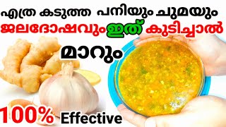 കടുത്ത പനിയും ചുമയും മാറും| Ginger Garlic Soup Recipe | Soup Recipe | Soup for Cough and Cold Remedy