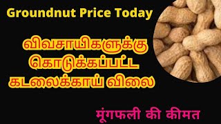 விவசாயிகளுக்கு கொடுக்கப்பட்ட நிலக்கடலை விலை | 04/09/2024 Sivagiri Groundnut Wholesale Rate | #mandi