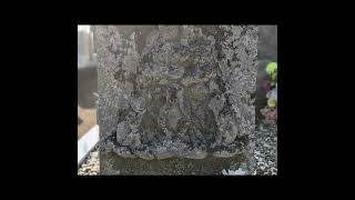 stone Buddhist　202303　埼玉県比企郡川島町出丸中郷　圓福寺内　庚申塔①