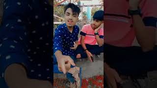 a Meri jaan 🤣🤣🤣🤣🤣🤣🤣🤣🤣🤣🤣🤣🤣🤣#comedy #comady_shorts #newcomedyvideo #trending .........