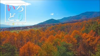 【絶景】北アルプスの麓の紅葉（いろどりあづみの）