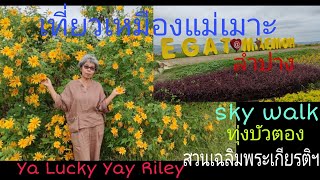 Ep.9 รีวิวเหมืองแม่เมาะ ลำปาง  #ทุ่งดอกบัวตอง  #sky walk  # สวนเฉลิมพระเกียรติฯ