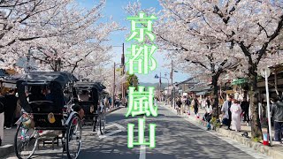 2023年3月29日桜🌸満開の京都 嵐山の桜のある商店街を歩く 【4K】Walk in Kyoto,Japan