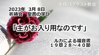 2023年 3月  8日(水) 赤塚教会祈祷会 聖書の学び「主がお入り用なのです」ルカによる福音書19章28～40節