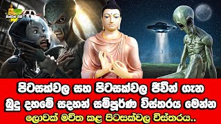 පිටසක්වල ජීවීන් ගැන සදහන් සම්පූර්ණ විස්තරය​.මේක බැලොවොත් ඔයා පුදුම වෙනවා| Pitasakwala Jeewin | Alien