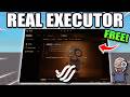*UPDATED* Real Executor - The Best FREEMIUM Windows Executor For Roblox?!