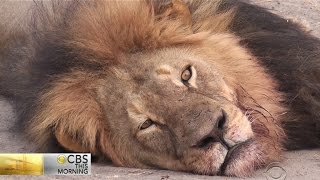 Advocates say ethical hunts can help save endangered species