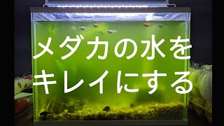 メダカの水をキレイにしてみた【ロカボーイ交換　LEDライト消灯】