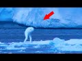 5 Mysterious Creatures Caught on Camera