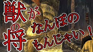 【DDON】大将討滅　獣の将がなんぼのもんじゃい！【ウォーミッション】